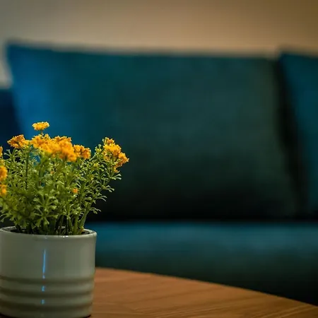 Eleven Business & Sport Hotel Jaszarokszallas